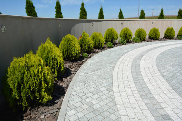 Best Residential Paver Driveway  in Le Sueur, MN